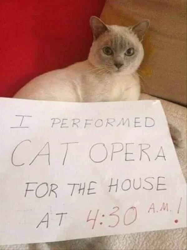 Hilarious Memes (46 pics)