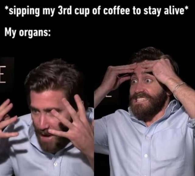 Random Funny Memes (64 pics)