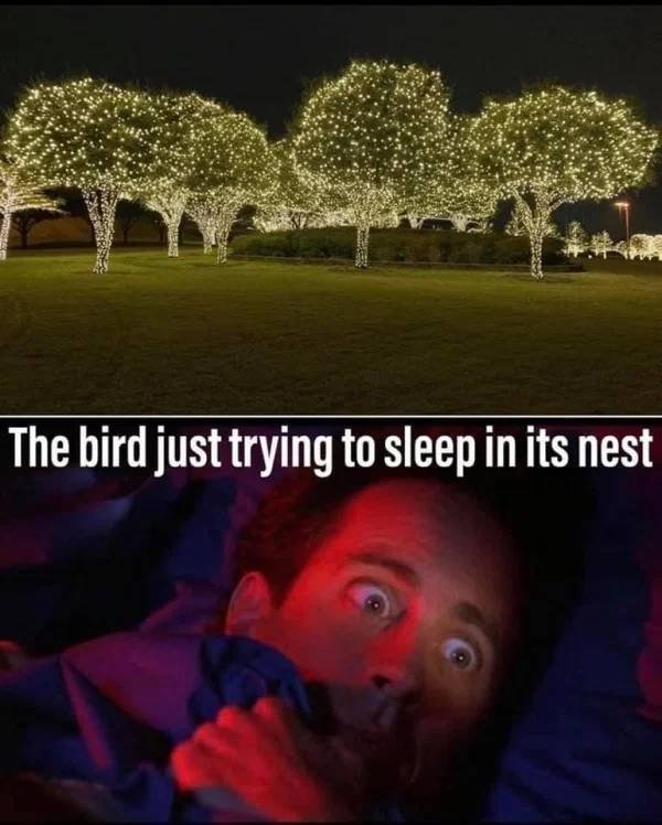 Hilarious Memes (46 pics)