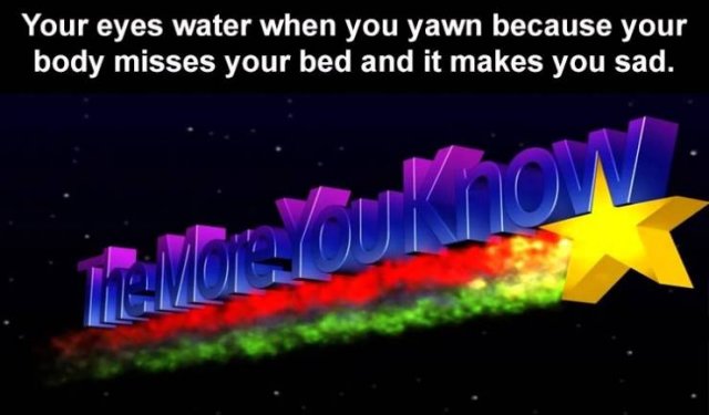 Random Funny Memes (64 pics)