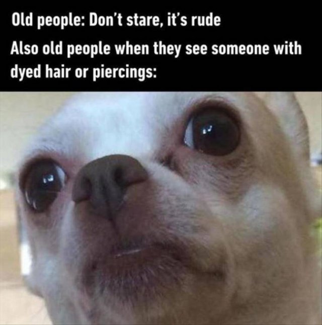 Random Funny Memes (64 pics)