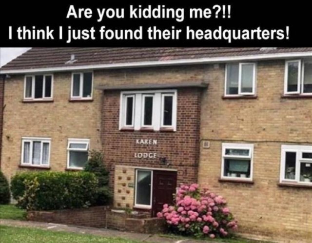 Random Funny Memes (64 pics)