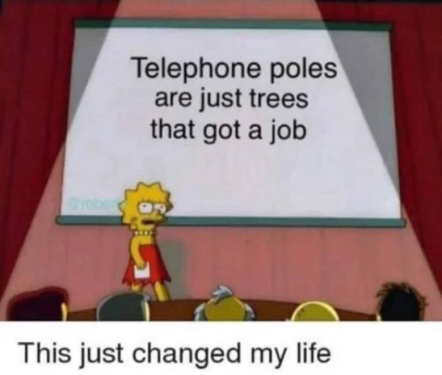 Hilarious Memes (46 pics)