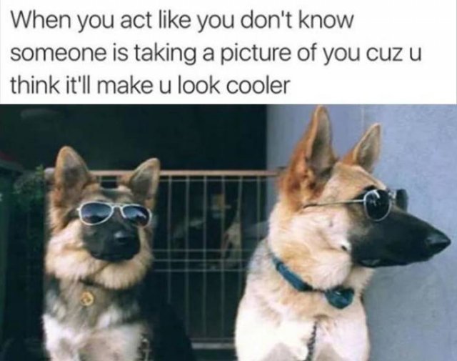 Random Funny Memes (64 pics)
