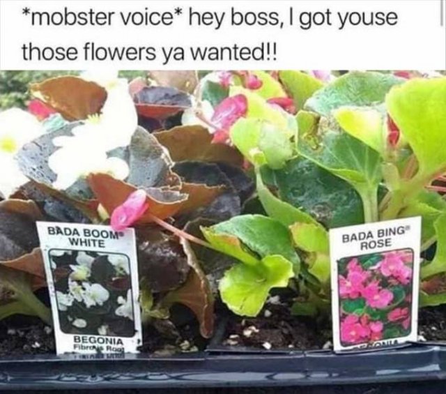 Random Funny Memes (64 pics)