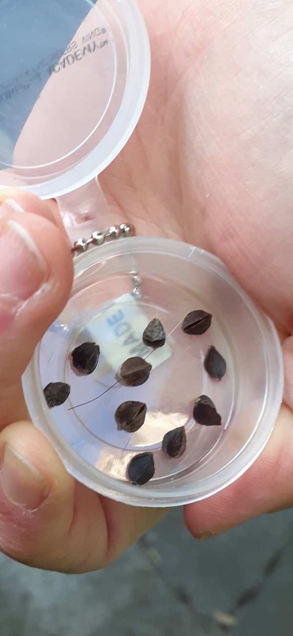 What Are These Things For? (23 pics)