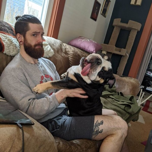 These Dog Are Broken (40 pics) These Dog Are Broken (40 pics)
