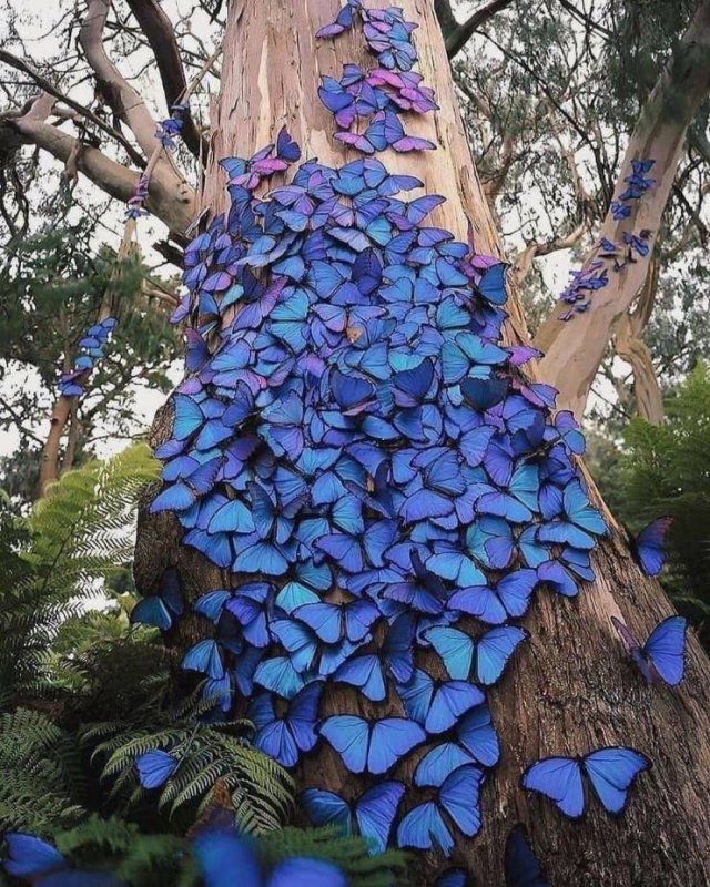 Acid Picdump. Part 2 (93 pics)