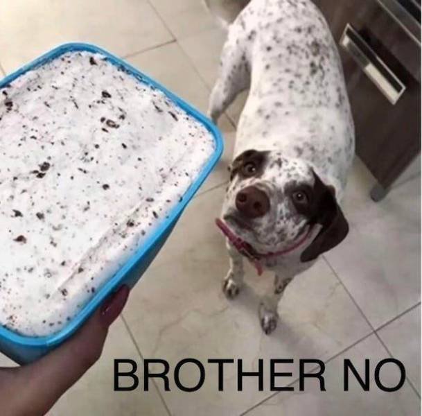 Acid Picdump. Part 2 (93 pics)