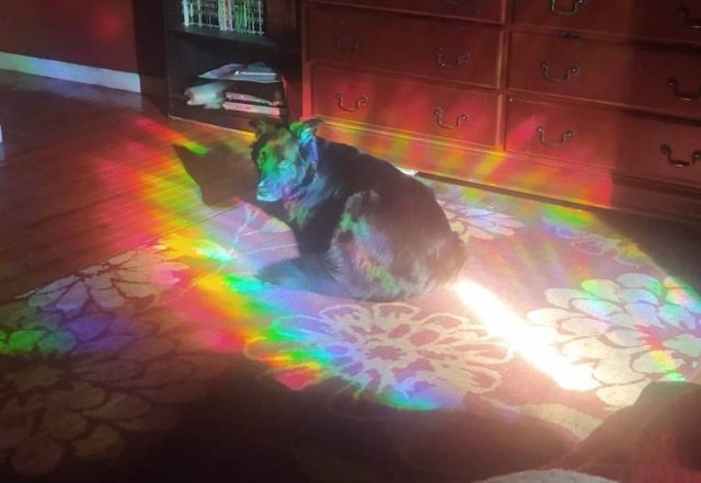Acid Picdump. Part 2 (93 pics)