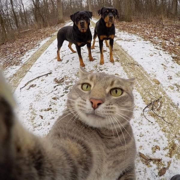 Acid Picdump. Part 2 (93 pics)