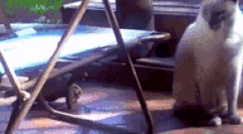 Acid Gifdump, December 10 (25 gifs)