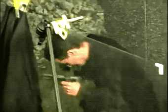 Acid Gifdump, December 10 (25 gifs)