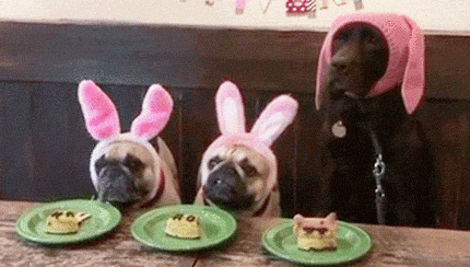 Acid Gifdump, December 10 (25 gifs)