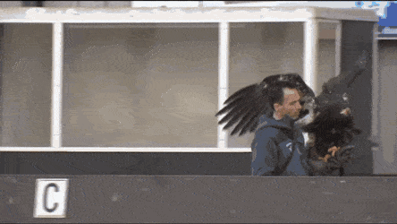 Acid Gifdump, December 11 (25 gifs)
