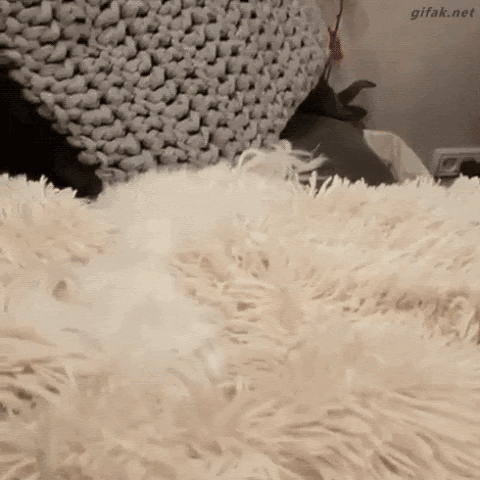 Acid Gifdump, December 11 (25 gifs)