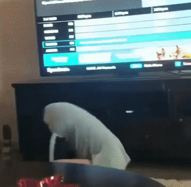 Acid Gifdump, December 11 (25 gifs)