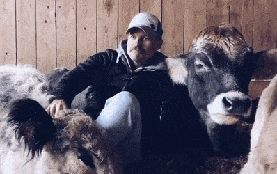 Acid Gifdump, December 11 (25 gifs)