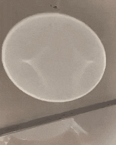 Acid Gifdump, December 11 (25 gifs)