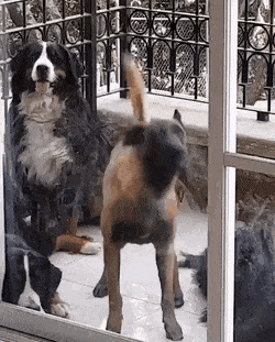 Acid Gifdump, December 11 (25 gifs)