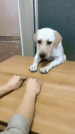 Acid Gifdump, December 11 (25 gifs)