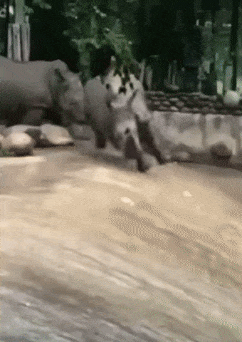 Acid Gifdump, December 11 (25 gifs)