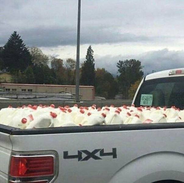 Look Twice (49 pics)