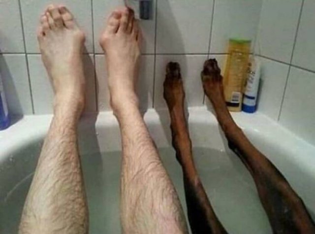 Look Twice (49 pics)