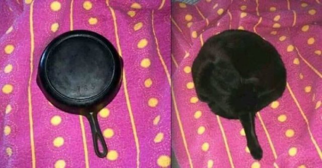 Look Twice (49 pics)