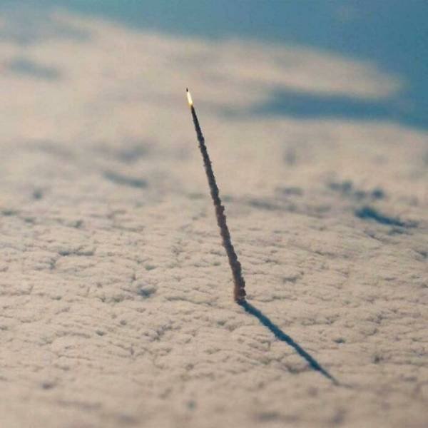 Look Twice (49 pics)