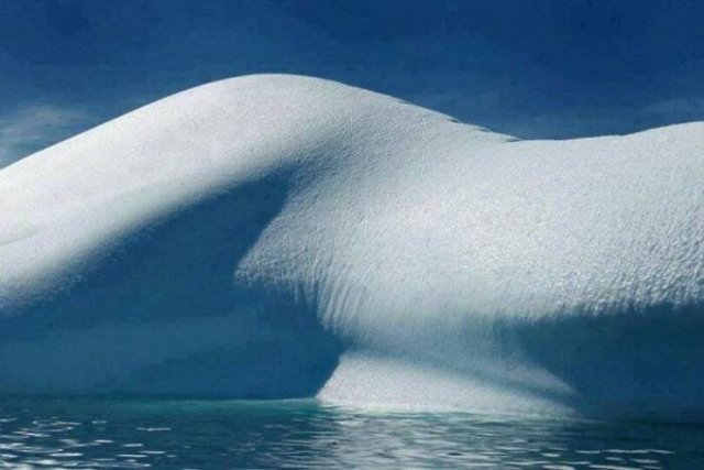 Look Twice (49 pics)