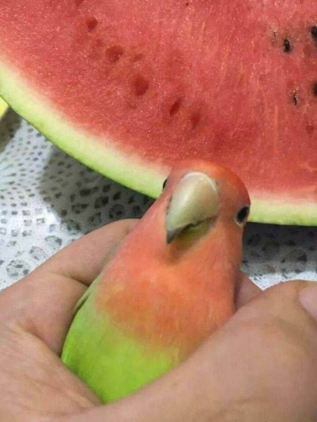 Look Twice (49 pics)
