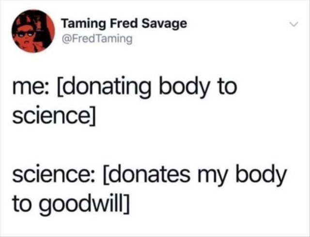 Funny Tweets (29 pics)