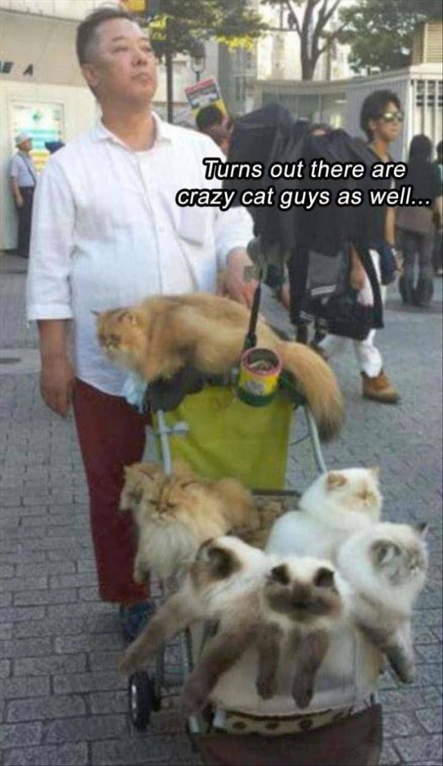 Random Funny Memes (73 pics)