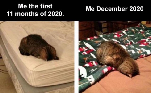 Random Funny Memes (73 pics)