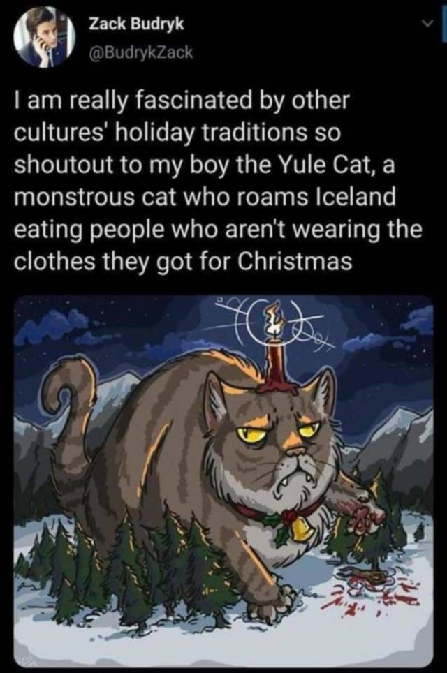 Random Funny Memes (73 pics)