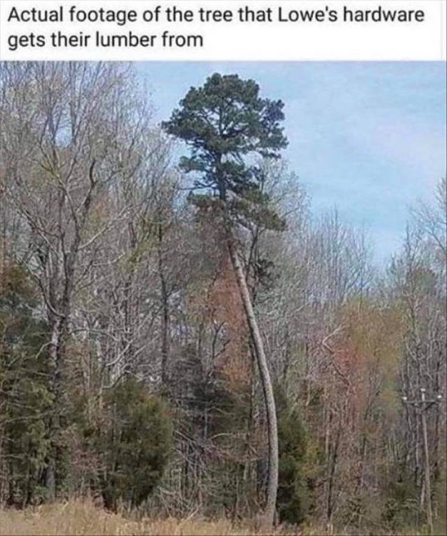 Random Funny Memes (73 pics)