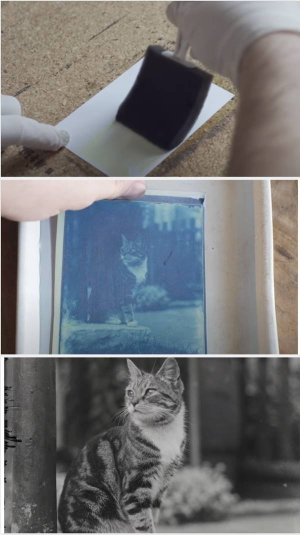 Interesting Findings (17 pics)