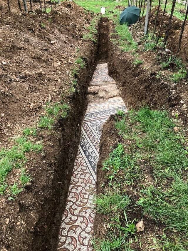 Interesting Findings (17 pics)