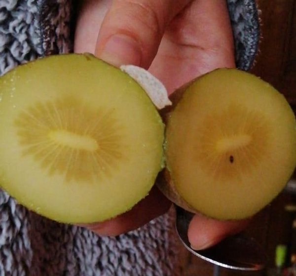 Great Coincidences (19 pics) Great Coincidences (19 pics)