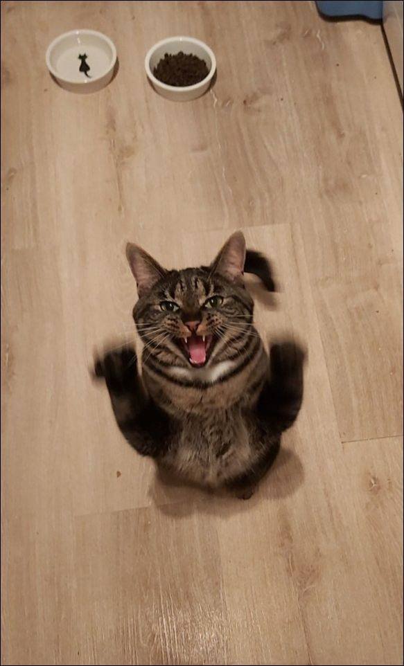 Acid Picdump. Part 2 (91 pics) Acid Picdump. Part 2 (91 pics)
