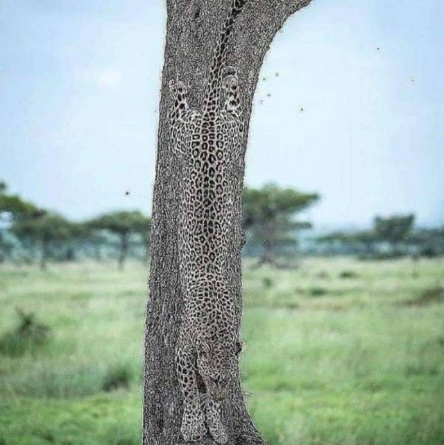Acid Picdump. Part 2 (91 pics) Acid Picdump. Part 2 (91 pics)
