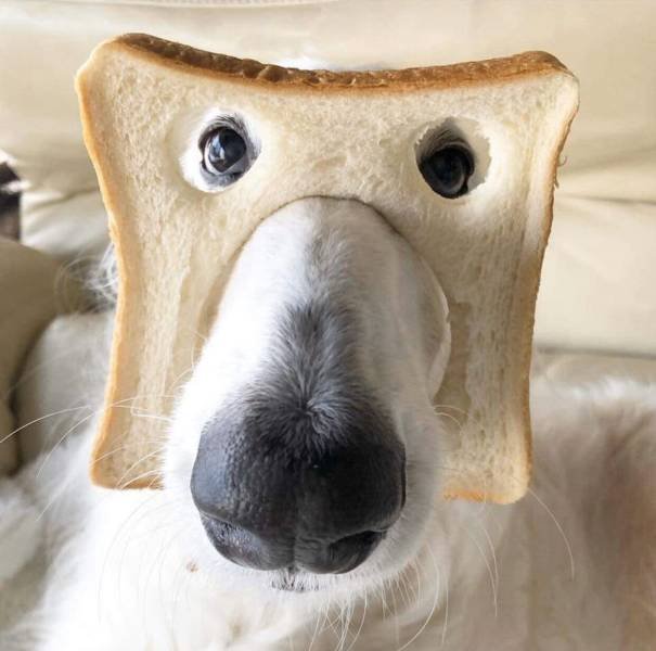 Acid Picdump. Part 2 (91 pics)
