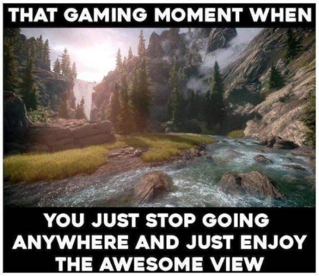 Pictures For Gamers (46 pics)