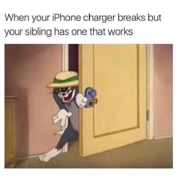 Sibling Memes (27 pics)