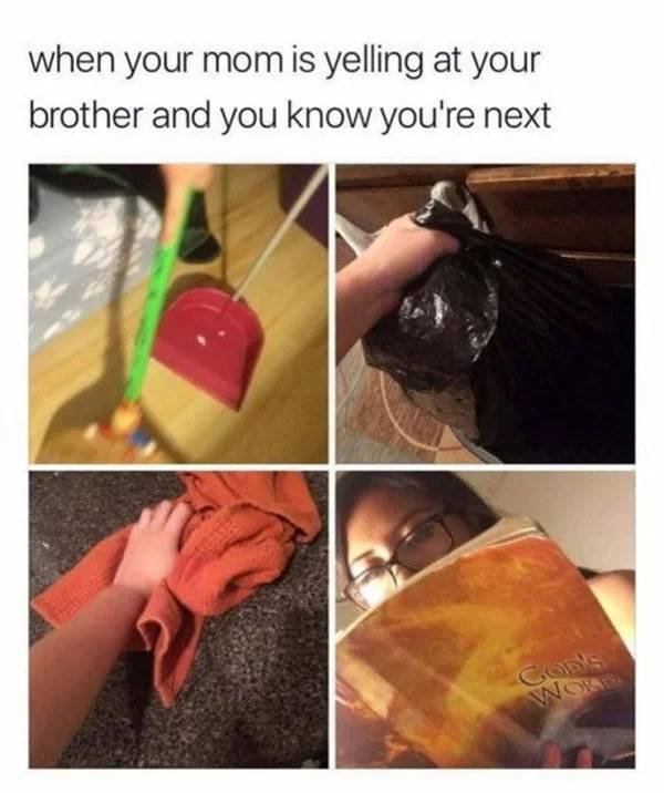Sibling Memes (27 pics)
