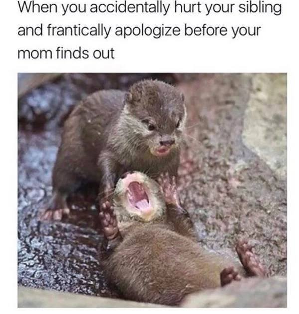 Sibling Memes (27 pics)