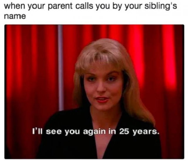 Sibling Memes (27 pics)