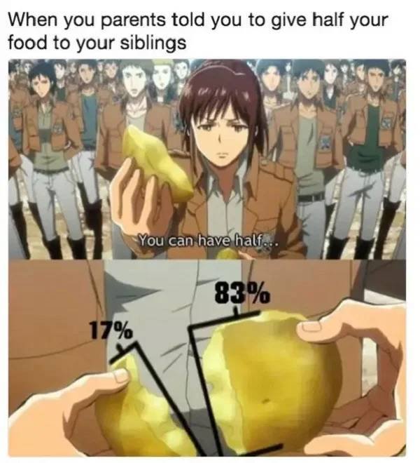 Sibling Memes (27 pics)