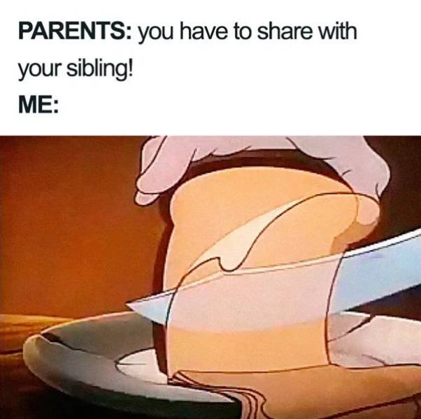 Sibling Memes (27 pics)